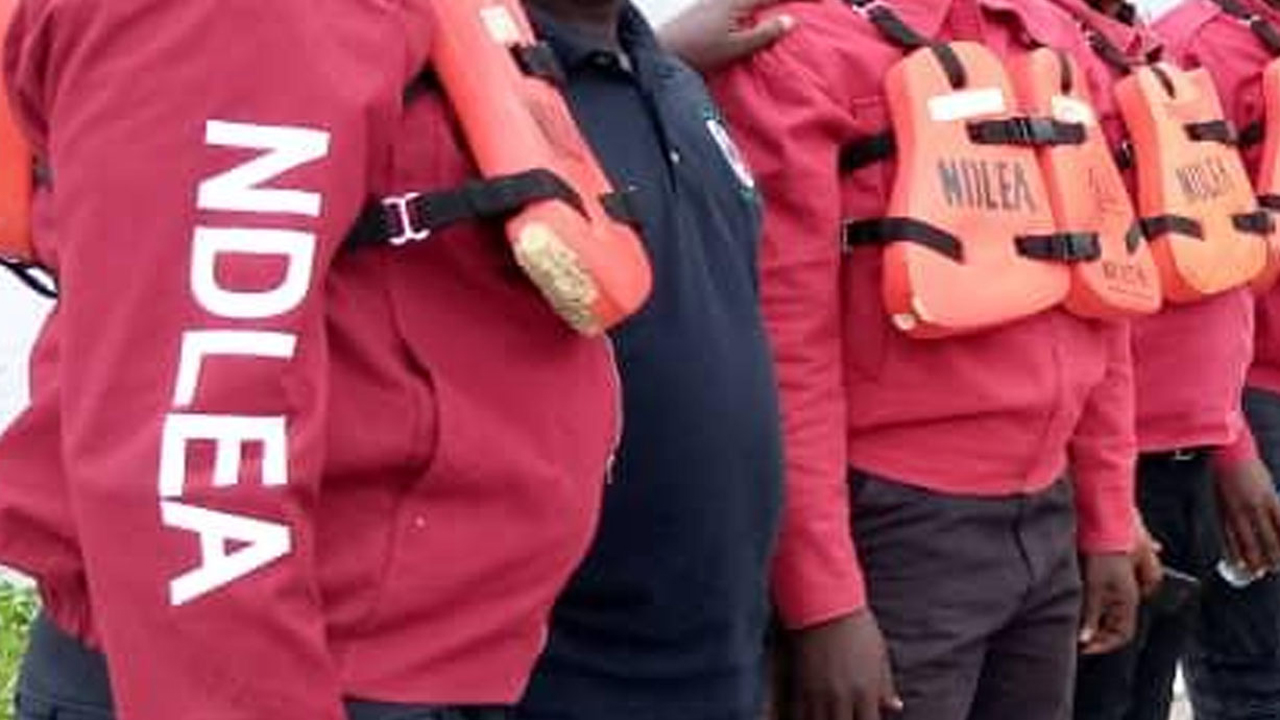 NDLEA Recruitment 2025/2026 Application Form Portal | Apply Now