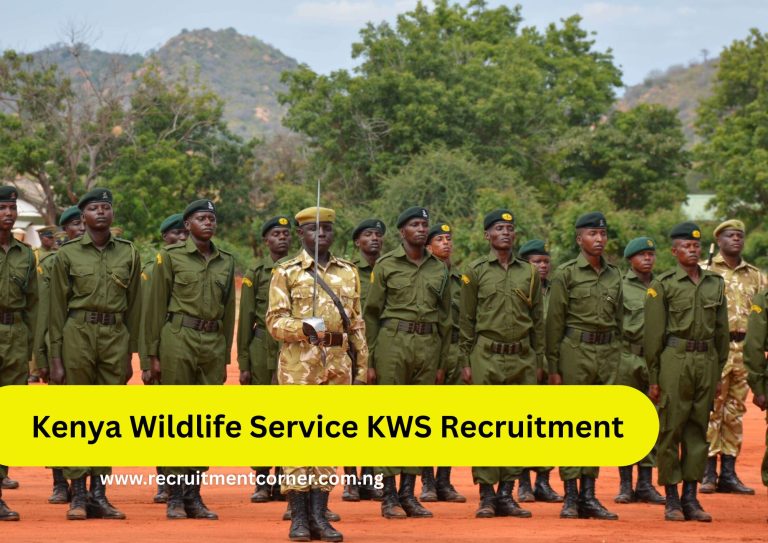 KWS Recruitment 2025/2026 Dates, Centers Application Form Portal