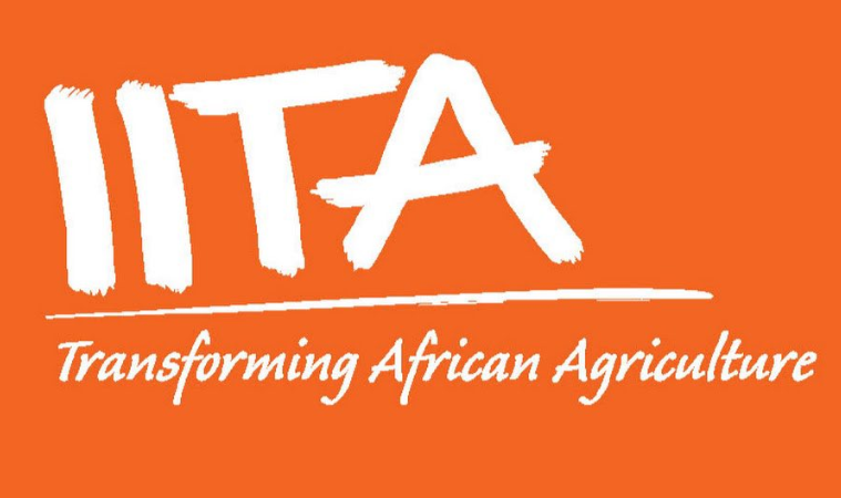 IITA recruitment